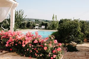 TRULLI LA PIETRAIA - Ostuni (Brindisi)  - Asta ASTA A TEMPO | AIRC - Associazione Nazionale - Case d'Asta italiane