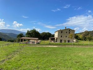 MARIA RICCERI  - Asta ASTA A TEMPO | AIRC - Associazione Nazionale - Case d'Asta italiane