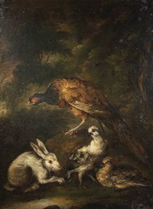 PITTORE ANONIMO DEL XVII SECOLO - Natura viva in posa con pavone  coniglio e due volatili