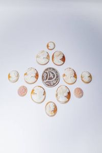 LOTTO DI TREDICI CAMMEI - di varie forme e misure raffiguranti volti femminili e maschili e motivi floreali.