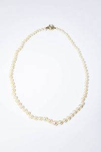 GIROCOLLO - Lunghezza cm 48 composto da un filo di perle giapponesi a scalare dal diam. di mm 4 5 ai 7 5. Chiusura in oro  [..]