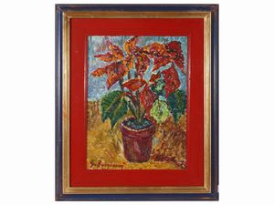 Guido Borgianni - Stelle di Natale