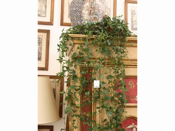 Lotto di piante da appartamento  - Asta Una casa fiorentina. Tra tradizione e modernit Le collezioni, i dipinti, gli arredi - III  - Associazione Nazionale - Case d'Asta italiane