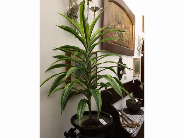 Due piante da appartamento  - Asta Una casa fiorentina. Tra tradizione e modernit Le collezioni, i dipinti, gli arredi - III  - Associazione Nazionale - Case d'Asta italiane