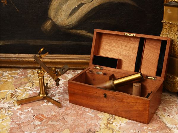 Microscopio d'epoca  - Asta Una casa fiorentina. Tra tradizione e modernit Le collezioni, i dipinti, gli arredi - III  - Associazione Nazionale - Case d'Asta italiane