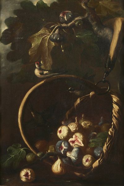 REALFONSO TOMMASO (1677 - 1743 circa) : Natura morta con cesto di fichi e cardellini  - Asta Asta 432 | ARTE ANTICA E DEL XIX SECOLO Tradizionale - Associazione Nazionale - Case d'Asta italiane