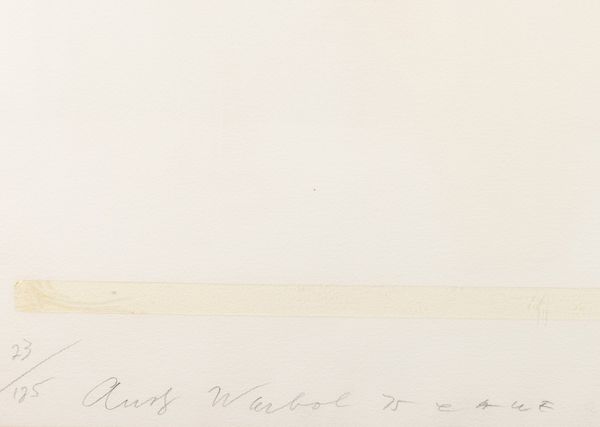 Andy Warhol : Ladies & Gentlemen  - Asta Arte Moderna e Contemporanea - Associazione Nazionale - Case d'Asta italiane