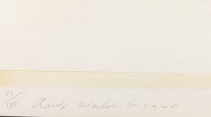 Andy Warhol : Ladies & Gentlemen  - Asta Arte Moderna e Contemporanea - Associazione Nazionale - Case d'Asta italiane