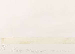 Andy Warhol : Ladies & Gentlemen  - Asta Arte Moderna e Contemporanea - Associazione Nazionale - Case d'Asta italiane