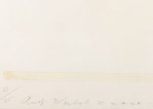 Andy Warhol : Ladies & Gentlemen  - Asta Arte Moderna e Contemporanea - Associazione Nazionale - Case d'Asta italiane