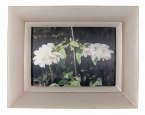 Chiara Dynys - Poisoned Flowers