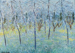 MICHELE CASCELLA - Senza titolo