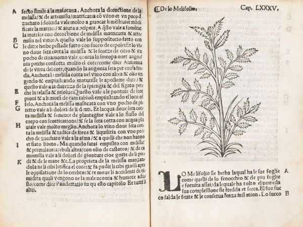 ARNALDO DE VILANOVA : Herbolario volgare, nel qual e le virtu de le herbe: & molti altri simplici se dechiarano: con alcune belle aggionte nouamente di latino in volgare tradutto  - Asta Libri, Autografi e Stampe - Associazione Nazionale - Case d'Asta italiane