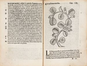 ARNALDO DE VILANOVA : Herbolario volgare, nel qual e le virtu de le herbe: & molti altri simplici se dechiarano: con alcune belle aggionte nouamente di latino in volgare tradutto  - Asta Libri, Autografi e Stampe - Associazione Nazionale - Case d'Asta italiane