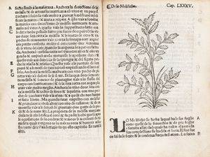 ARNALDO DE VILANOVA : Herbolario volgare, nel qual e le virtu de le herbe: & molti altri simplici se dechiarano: con alcune belle aggionte nouamente di latino in volgare tradutto  - Asta Libri, Autografi e Stampe - Associazione Nazionale - Case d'Asta italiane