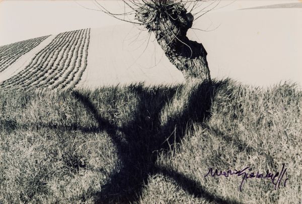 Mario Giacomelli : Paesaggio  - Asta Fotografia: Under 1K - Associazione Nazionale - Case d'Asta italiane