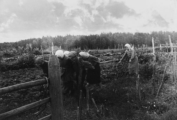 Mikhail Savin : Dopo la cacciata dei fascisti  - Asta Fotografia: Under 1K - Associazione Nazionale - Case d'Asta italiane
