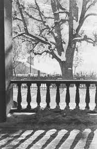 Riccardo Moncalvo - Neve a Melezet