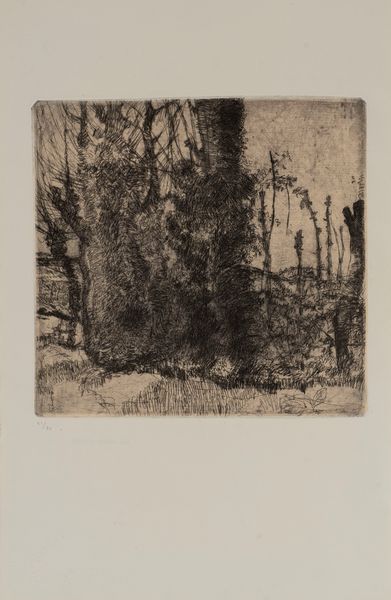 Luigi Bartolini : L'Eremo dei frati bianchi  - Asta Grafica Internazionale e Multipli d'Autore - Associazione Nazionale - Case d'Asta italiane