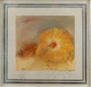 Piero Guccione - Doppio Ibiscus