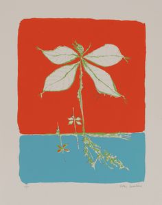 AA.VV. - La cartullina ed altre poesie