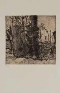 Luigi Bartolini - L'Eremo dei frati bianchi