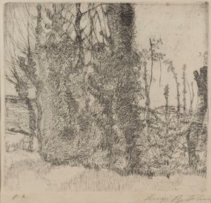 Luigi Bartolini - Gli alberi giovani