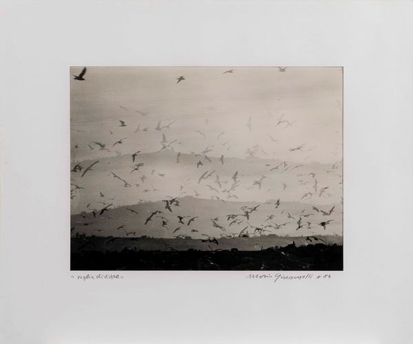 Mario Giacomelli : Voglia di vivere  - Asta Fotografia - Associazione Nazionale - Case d'Asta italiane