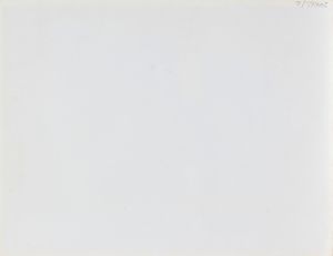 Douglas Beer : Lotto formato da due fotografie Marina Abramovic - Ulay<BR>Ballance Proof, 8 Dicembre 1977<BR>  - Asta Fotografia - Associazione Nazionale - Case d'Asta italiane