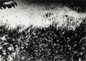 Mario Giacomelli - Senza titolo