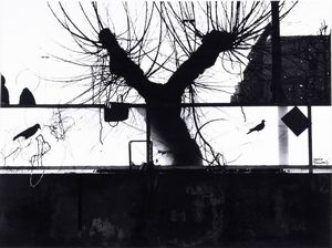 Mario Giacomelli - In riva al mare
