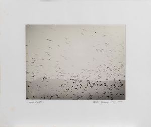 Mario Giacomelli - Verso il cielo