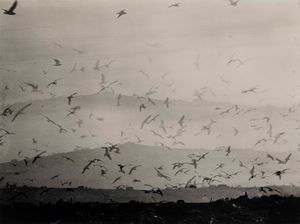 Mario Giacomelli : Voglia di vivere  - Asta Fotografia - Associazione Nazionale - Case d'Asta italiane