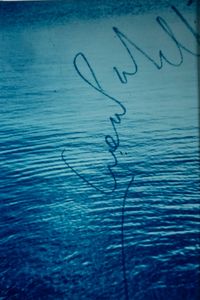 LUCA MARIA PATELLA - Mare firmato, 3 dal volume Senza Peso