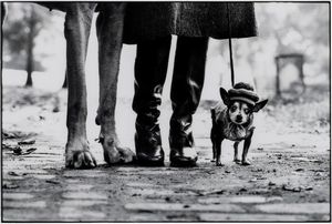 Elliott Erwitt - New York, New York, USA