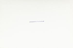 TAZIO SECCHIAROLI : Marcello Mastroianni  - Asta Fotografia - Associazione Nazionale - Case d'Asta italiane