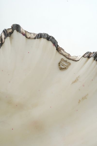 Grande conchiglia rivestita in argento. Etichetta a scudo Mario Buccellati. Italia, XX-XXI secolo  - Asta Argenti da Collezione | XX secolo - Associazione Nazionale - Case d'Asta italiane