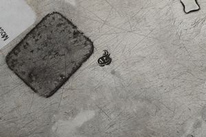 Mostardiera e acetoliera. Torino, ultimo quarto del XVIII secolo. Assaggiatore Giuseppe Fontana (1787-1815), contrassaggiatori Bartolomeo Bernardi (1778-1816) e Giuseppe Vernoni (1778-1824)  - Asta Argenti da Collezione | XX secolo - Associazione Nazionale - Case d'Asta italiane