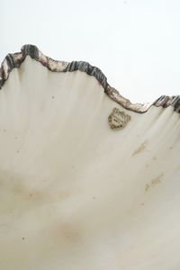 Grande conchiglia rivestita in argento. Etichetta a scudo Mario Buccellati. Italia, XX-XXI secolo  - Asta Argenti da Collezione | XX secolo - Associazione Nazionale - Case d'Asta italiane