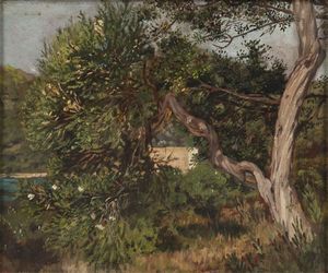 MAX ROEDER - Ischia, l'albero di mirto