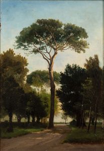 Giuseppe Haimann - Giardino Botanico al Cairo