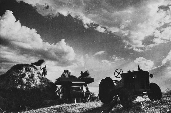 Riccardo Moncalvo : Senza titolo (Lavoro nei campi, Langhe)  - Asta Fotografia - Associazione Nazionale - Case d'Asta italiane