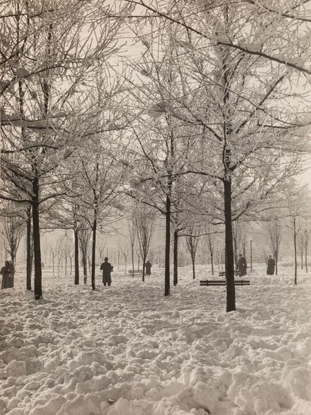 Anonimo : Parco Solari  - Asta Fotografia - Associazione Nazionale - Case d'Asta italiane
