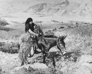 Elio Sorci - Senza titolo (Sicilia)