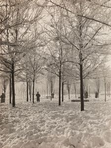 Anonimo - Parco Solari