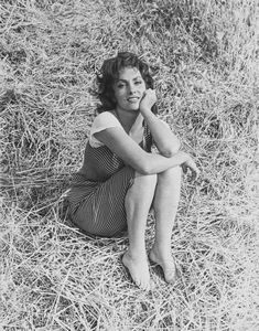 Paolo Di Paolo - Gina Lollobrigida in La Legge diretto da Jules Dassin