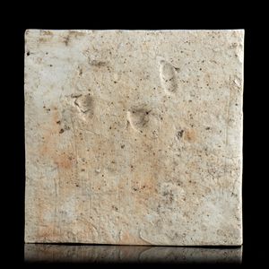 PIASTRELLA IN PORCELLANA 'BIANCO E BLU'  - Asta Arte asiatica e tribale  - Associazione Nazionale - Case d'Asta italiane