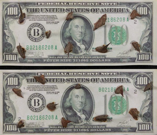 Peter Hide : Money vs Nature  - Asta Arte Moderna, Contemporanea, '800 e '900 - Associazione Nazionale - Case d'Asta italiane