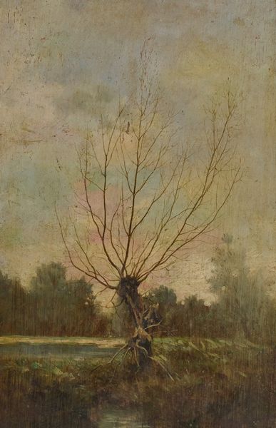 Anonimo : Paesaggio  - Asta Arte Moderna, Contemporanea, '800 e '900 - Associazione Nazionale - Case d'Asta italiane