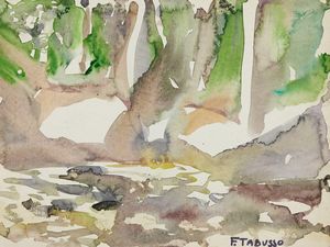 Francesco Tabusso - Vegetazione